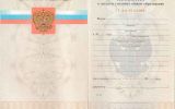 Аттестат 11 классов образца